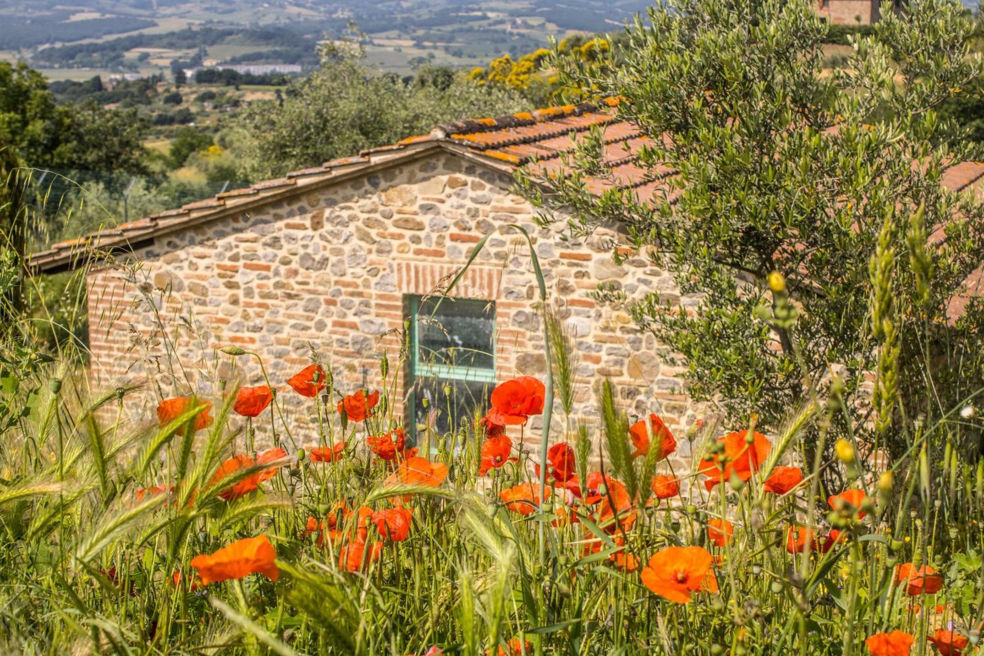 Agriturismo Dandelion Villa Citta della Pieve Exterior photo